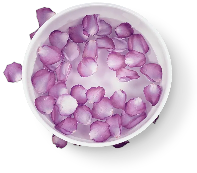 The Grotto Spa pedicure bowl